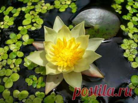 Редактировать описание