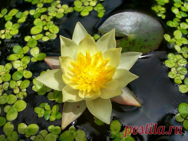 Редактировать описание