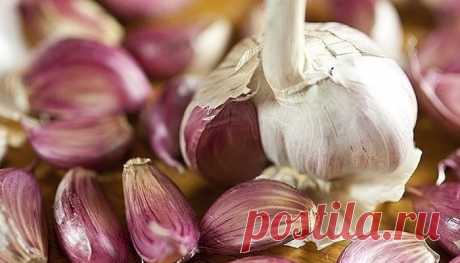 А помогли сода и чеснок - Журнал Советов У меня был хронический бронхит, эмфизема легких. По два раза в год болела пневмонией и думала, что мне от этого не избавиться никогда. Но один чудесный и очень простой способ помог не только мне, но и многим, кому я его рекомендовала. Рассказала мне о нем в качестве примера из своей врачебной практики милая докторша. И […]