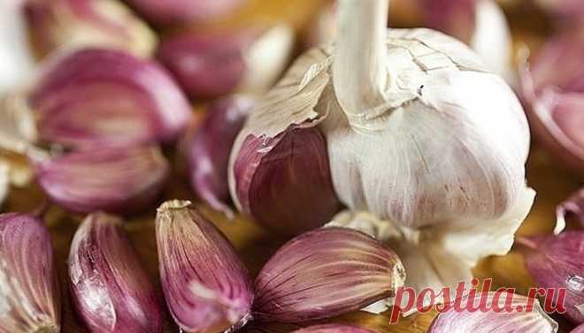 А помогли сода и чеснок - Журнал Советов У меня был хронический бронхит, эмфизема легких. По два раза в год болела пневмонией и думала, что мне от этого не избавиться никогда. Но один чудесный и очень простой способ помог не только мне, но и многим, кому я его рекомендовала. Рассказала мне о нем в качестве примера из своей врачебной практики милая докторша. И […]