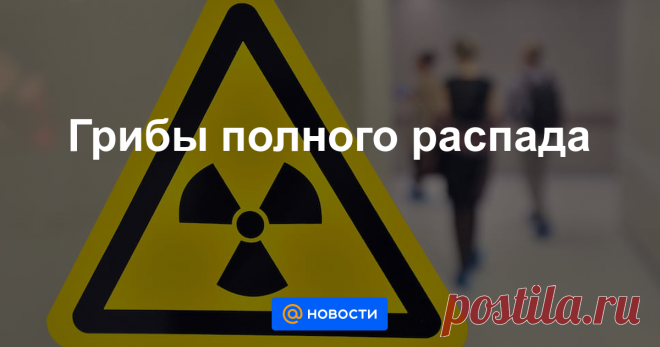Грибы полного распада В одном из архангельских врачей, оказывавших помощь пострадавшим при взрыве, нашли цезий-137.