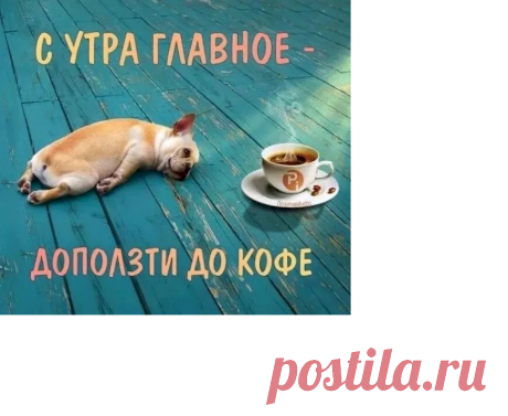 Выпуск №7092 - выпуск анекдотов сайта вокруг смеха