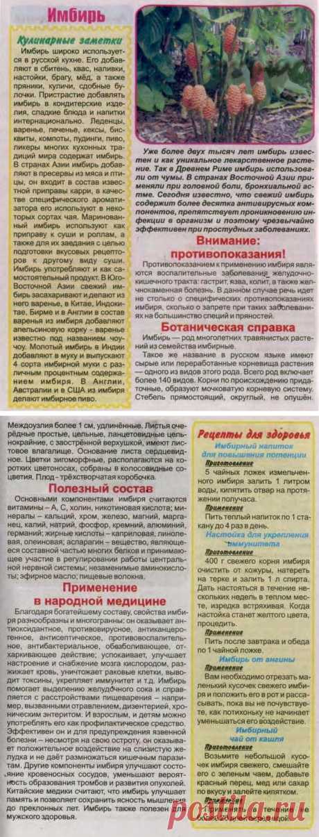 Имбирь