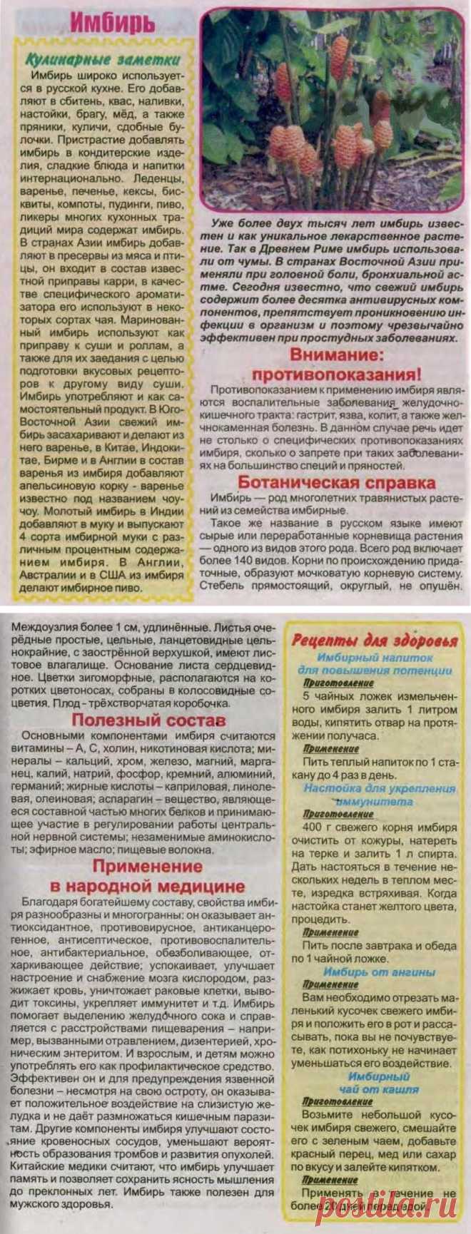 Имбирь