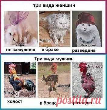 Одноклассники