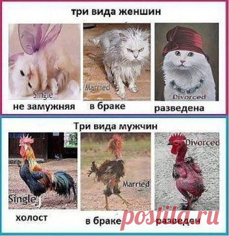 Одноклассники