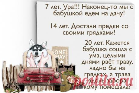 Дача: как меняется отношение к ней в возрасте от 7 до 77 лет | Творчество'нутая | Яндекс Дзен