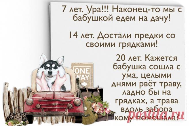 Дача: как меняется отношение к ней в возрасте от 7 до 77 лет | Творчество'нутая | Яндекс Дзен