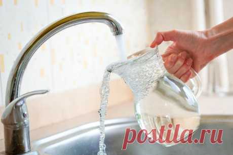 Какой водой поливать комнатные растения