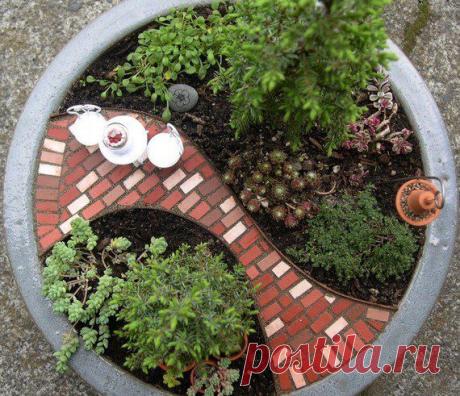 Сад с тропинкой