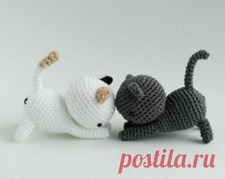 Пара игривых котят