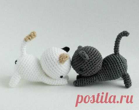 Пара игривых котят