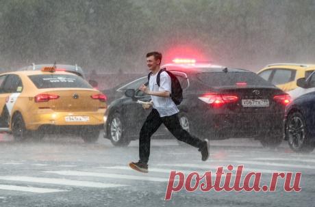 20-6-24--УРАГАН валит деревья, гнёт рекламные щиты, куски крыш отрывает от многоэтажек, швыряет урны и самокаты: Москву накрыл «ЭДГАР» - Фото №1 - Свободная Пресса На фото: во время грозы и шквалистого ветра в Москве.