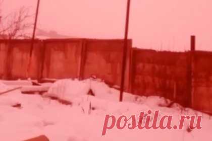 Небо в российском регионе стало розовым. Небо в городе Бугульма в Татарстане стало розовым из-за тумана. Необычное природное явление зафиксировали утром в пятницу, 22 декабря. Очевидцы поделились фотографиями в социальных сетях, на которых видно, что из-за тумана розовый оттенок приобрели снег, машины и постройки.