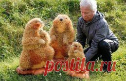 (84) Одноклассники