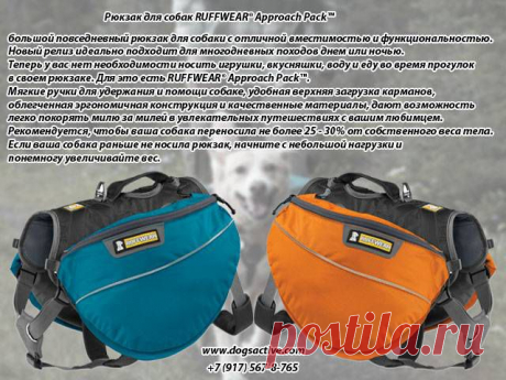 Магазин DOGS ACTIVE профессиональная амуниция для собак