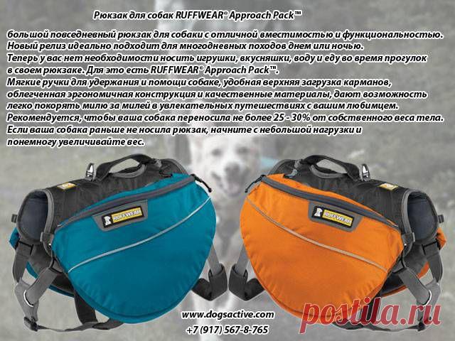 Магазин DOGS ACTIVE профессиональная амуниция для собак