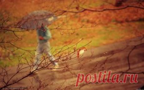 Сегодня было холодно с утра.
Деревья посылали травам письма.
Остывшие осенние ветра
Упрямо щекотали черепицу.
«Пришла очарования пора»,--
Сказал бы классик. Я же мыла кисти
И чувствовала: близится хандра
И вечеров озябших вереницы,
Когда ты хочешь с кем-то созвониться,