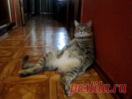 После обеда