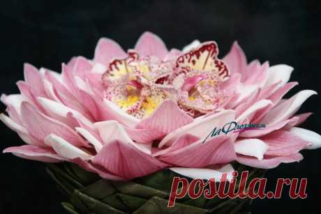 Друзья! Начало базового курса по будням 15.10 . Занятия пойдут по вторникам и четвергам.