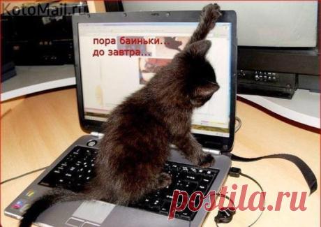 Пора баиньки!