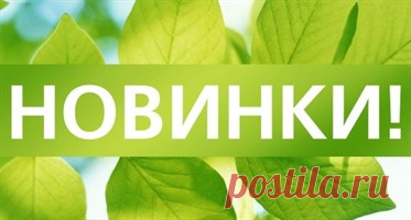 цветы
