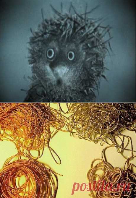 И ежу понятно | Мир женщины