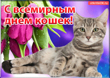 Кошатников с днем кошек поздравляю,
Животных и людей любить желаю!
Добра желаем братьям меньшим,
Давайте жизнь их к лучшему изменим!