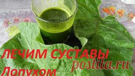 ЛОПУХ -   МАЙСКИЙ ЖЕНЬШЕНЬ - ЛЕЧИМ СУСТАВЫ