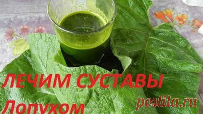 ЛОПУХ -   МАЙСКИЙ ЖЕНЬШЕНЬ - ЛЕЧИМ СУСТАВЫ