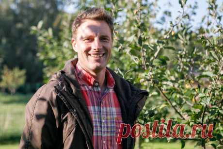 Pataria agronomas: kada ir kuo purkšti vaiskrūmius ir vaismedžius? | Gyvenimas | 15min.lt