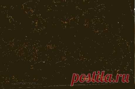 Пицца с томатом и базиликом — рецепт приготовления с фото