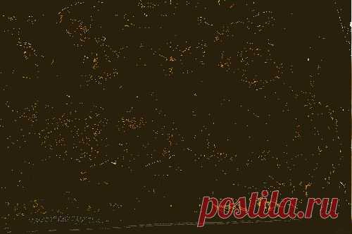 Пицца с томатом и базиликом — рецепт приготовления с фото