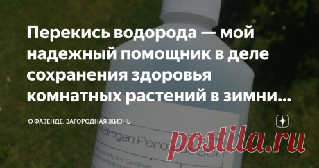 Перекись водорода — мой надежный помощник в деле сохранения здоровья комнатных растений в зимний период. Зимой как никогда растения нуждаются в дополнительной поддержке. И одним из самых действенных средств я могу назвать перекись водорода. Этот препарат — настоящее спасение домашней зелени, так как он активирует процессы фотосинтеза и защитные механизмы, помогая растениям полноценно питаться и противостоять болезням. Подробнее об этом чудодейственном «агронапитке» расскаж...