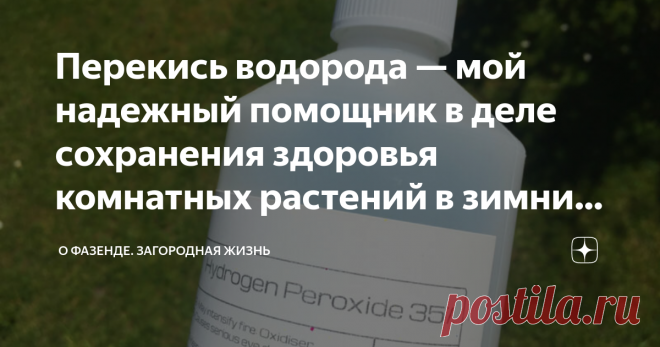 Перекись водорода — мой надежный помощник в деле сохранения здоровья комнатных растений в зимний период. Зимой как никогда растения нуждаются в дополнительной поддержке. И одним из самых действенных средств я могу назвать перекись водорода. Этот препарат — настоящее спасение домашней зелени, так как он активирует процессы фотосинтеза и защитные механизмы, помогая растениям полноценно питаться и противостоять болезням. Подробнее об этом чудодейственном «агронапитке» расскаж...