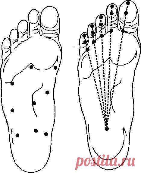 (205) Традиционная китайская медицина утверждает, что на стопах располагается более 60 активных зон и точек и важные каналы «Цзинло». | Здоровье Красота