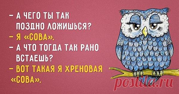 Популярные записи по теме «юмор»