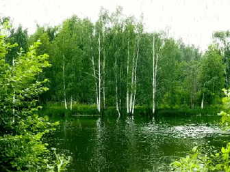 Неделька - 975 фото. Фотографии Зарема Виноградова.