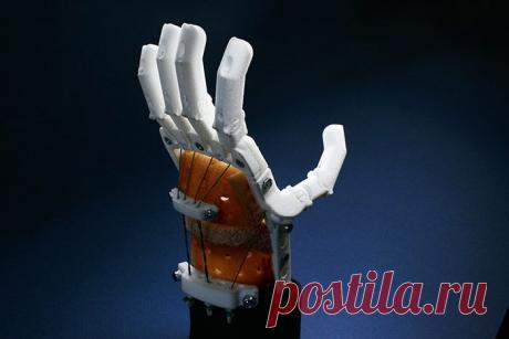 Биопечать органов на 3D принтере, как это работает? - 13 Июля 2015 - Voron