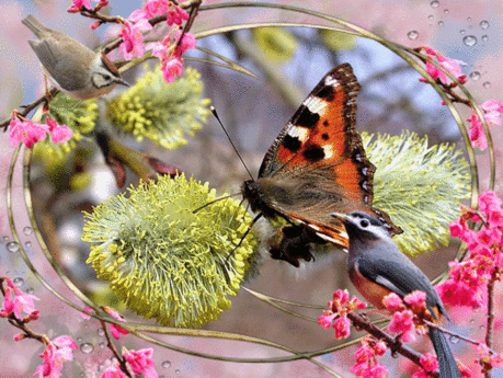 image.gif (1024×769)