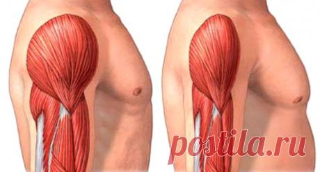 Роль воспаления в развитии саркопении — dolgo-jv.ru