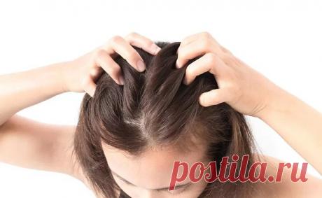 Волосы растут и не выпадают - как этого добиться с 2 утренними упражнениями | Health & Beauty Пульс Mail.ru