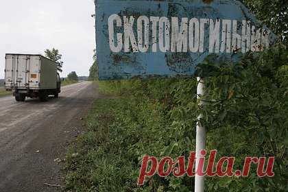 В Казахстане паводки создали угрозу распространения сибирской язвы. В результате рекордных паводков в Казахстане вскрылись могильники с сибирской язвой. Об угрозе распространения опасного заболевания предупреждают в управлении ветеринарии ЗКО. Талой водой затопило 8 скотомогильников и 14 захоронений с сибирской язвой. Споры сибирской язвы способны долгое время оставаться в почве.