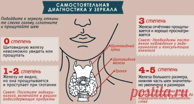 Узлы в щитовидке: что скрывается под термином «узел», как распознать заболевания и лечить. Йододефицит и его последствия