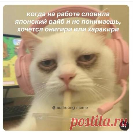 Работа - 03.05.26 00:56 | Пикабу