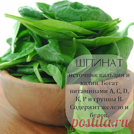 полезные травы