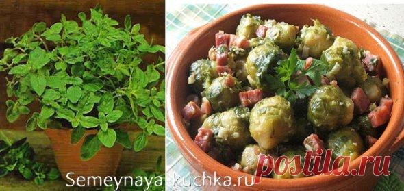 ЗЕЛЕНЬ на подоконнике — как вырастить съедобные травы дома. | Семейная Кучка