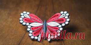 Что такое квиллинг? : Хобби : Стиль жизни : Subscribe.Ru