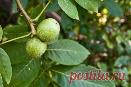 Простой способ понизить сахар | ХОЧУ МИЛЛИОН | Яндекс Дзен