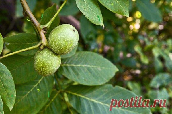 Простой способ понизить сахар | ХОЧУ МИЛЛИОН | Яндекс Дзен